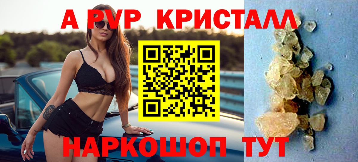 A PVP крисы CK Новочеркасск
