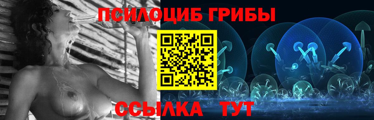 Новочеркасск  Галлюциногенные грибы Cubensis  Вход с VPN 